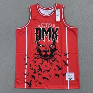 Men’s Aaliyah x DMX Basketball Jersey Headgear Classics Red XL